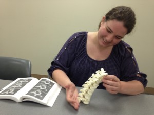 This is me, Erin Fedeson, with "The Human Bone Manual" open next to me as I apply one of the methods Dr. Barrett suggested: try to fit the vertebra together like a puzzle. This is me, Erin Fedeson, with "The Human Bone Manual" open next to me as I apply one of the methods Dr. Barrett suggested: try to fit the vertebra together like a puzzle.