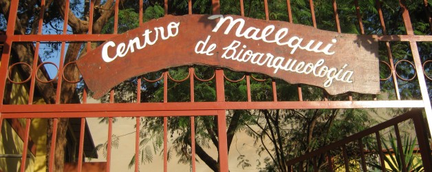 Centro Mallqui 11 Centro Mallqui 11